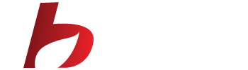 Boilers, Burners & Beyond
